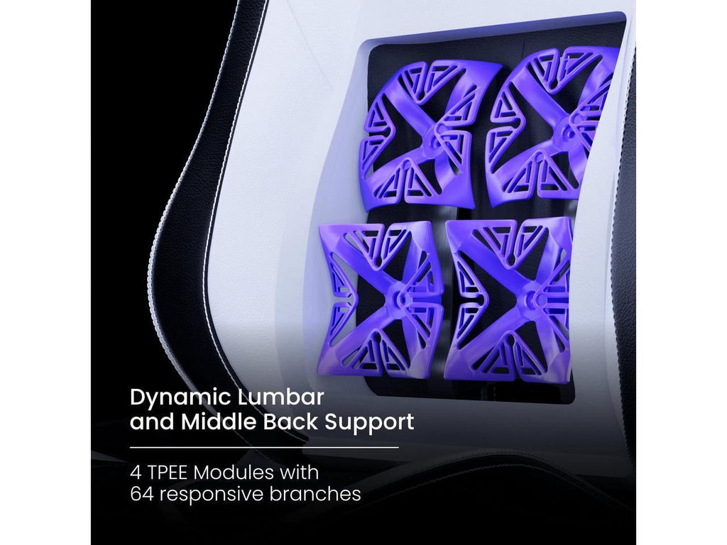 Vertagear PL6800 HygennX Ergonomic Gaming Chair (Carbon Black)